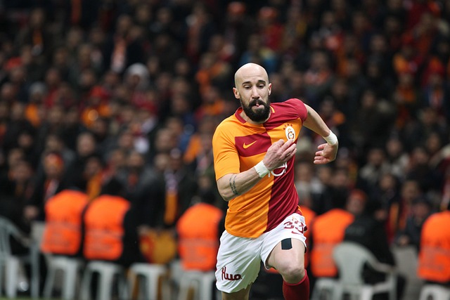 寻求突破的 寻求突破的