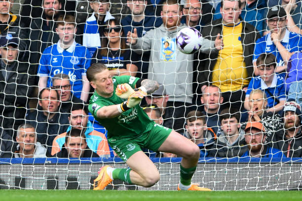 存活率几何 存活率几何